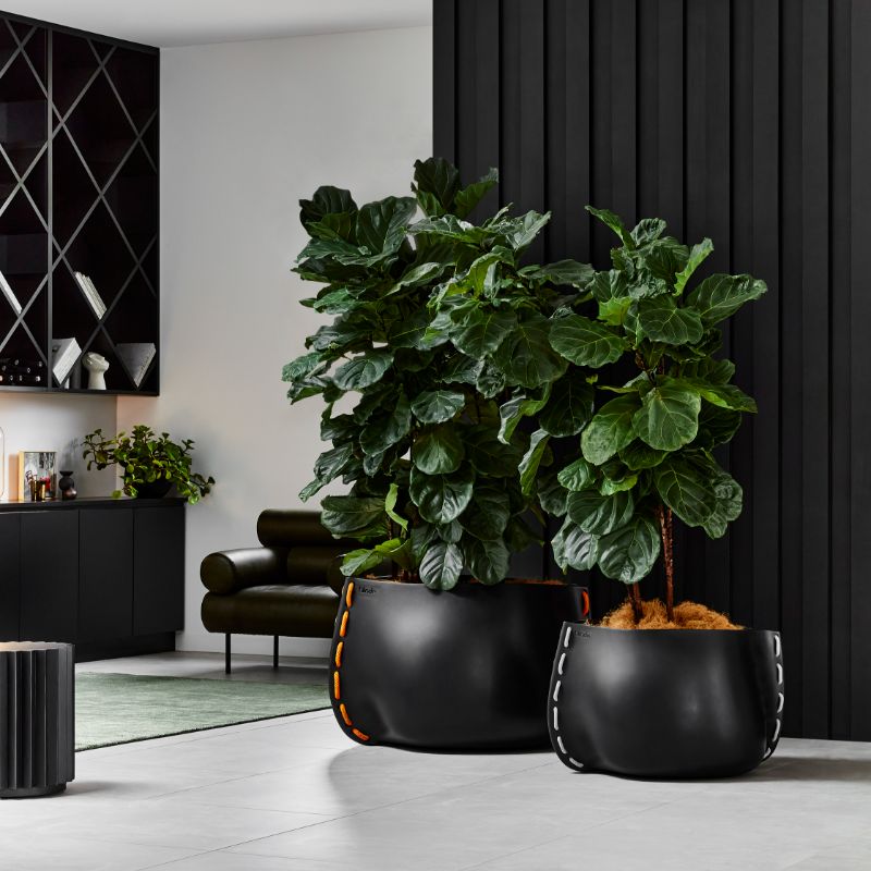 Stitch 75 Designer Pot Plant Graphite With Plant Indoor