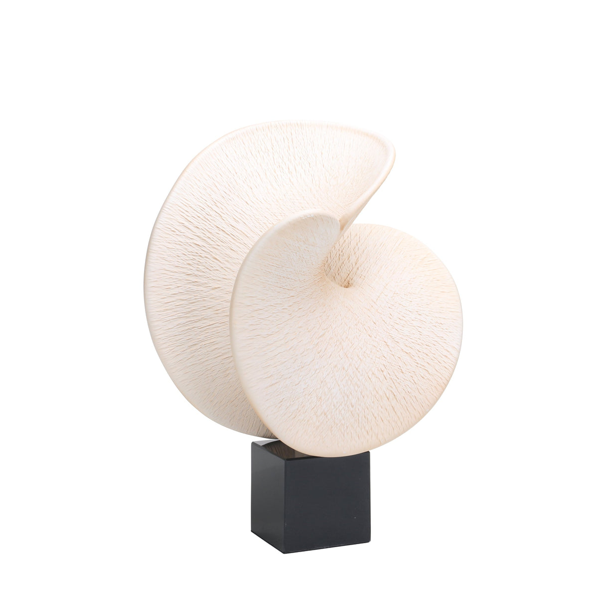 Weywick Shell Look Sculpture