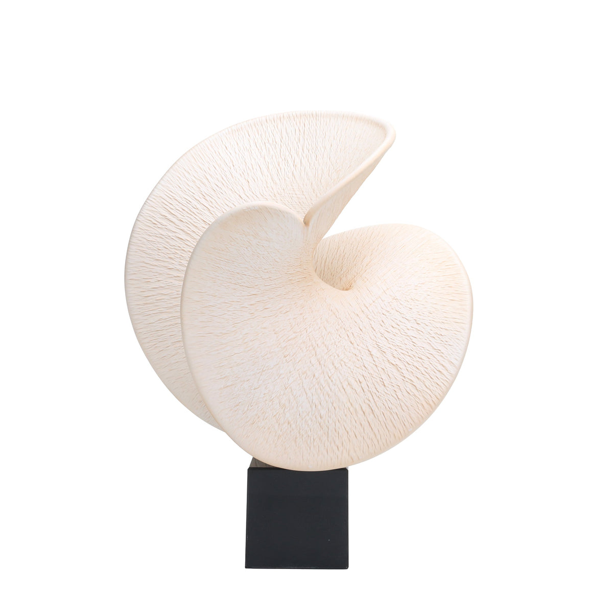 Weywick Shell Look Sculpture