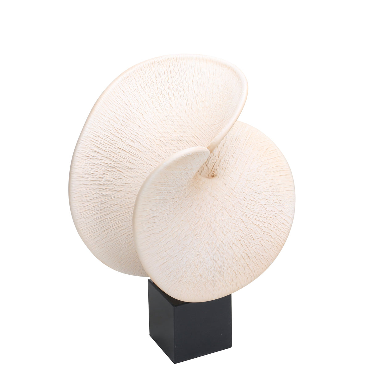 Weywick Shell Look Sculpture
