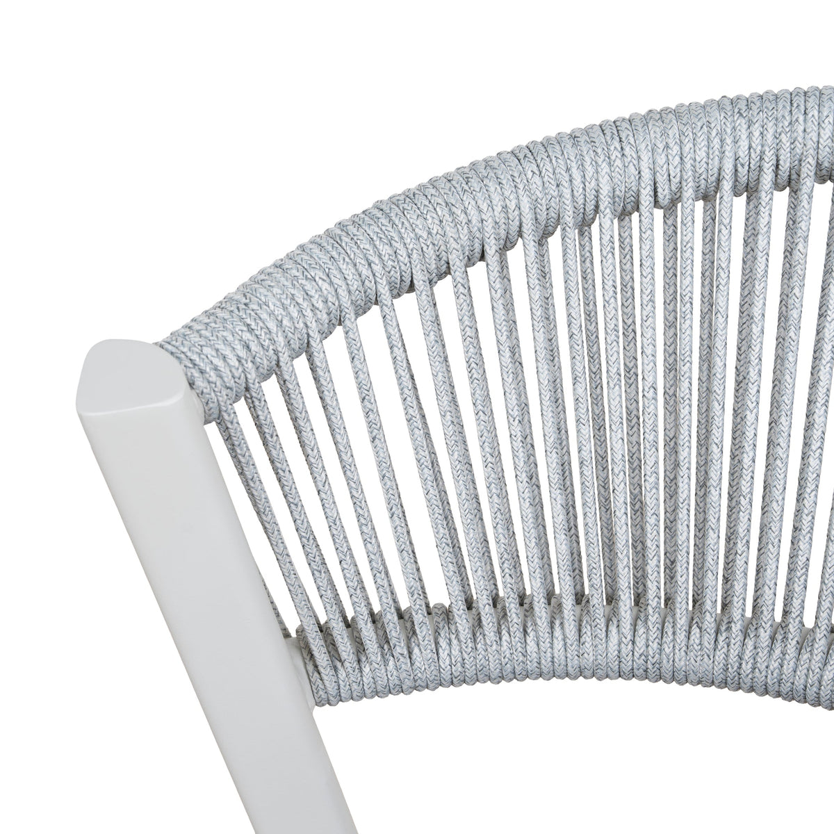 Springland Outdoor Dining Chair (Set of 2)