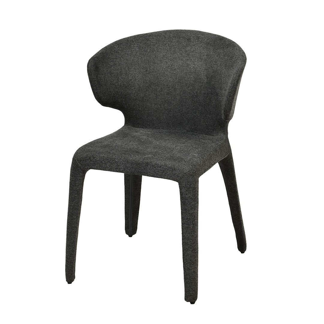 Rawford Fabric Dining Chair (Set of 2)