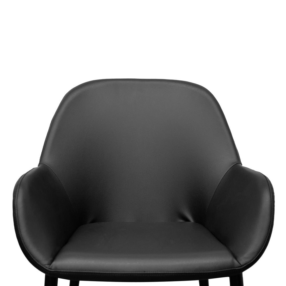 Warwick Dining Chair (Set of 2)