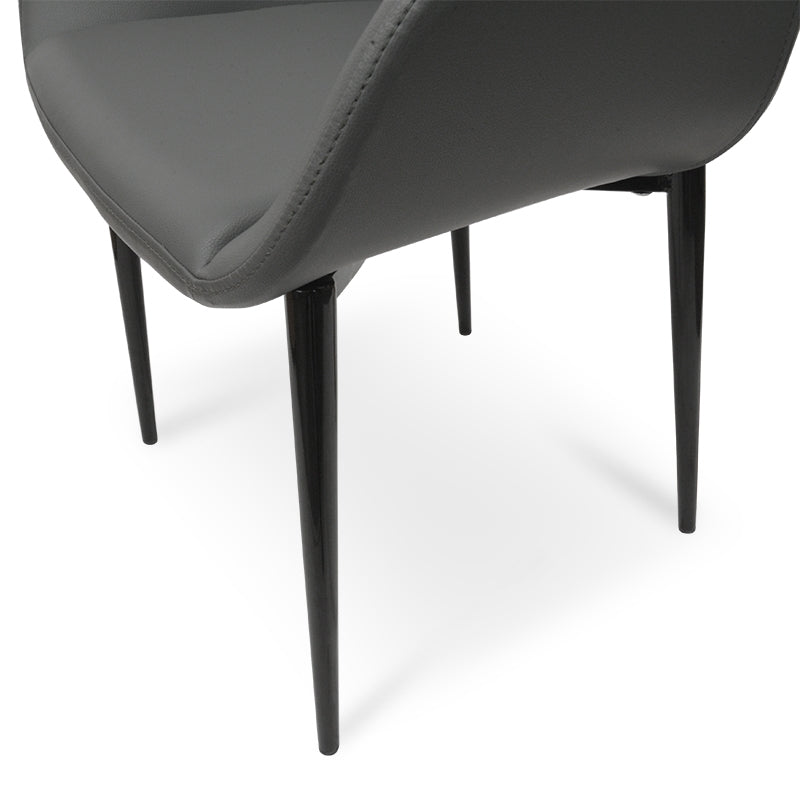 Springshore Dining Chair (Set of 2)