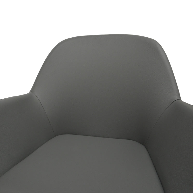 Springshore Dining Chair (Set of 2)