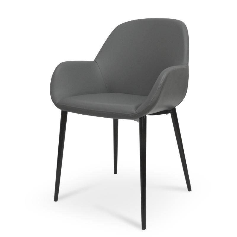 Springshore Dining Chair (Set of 2)