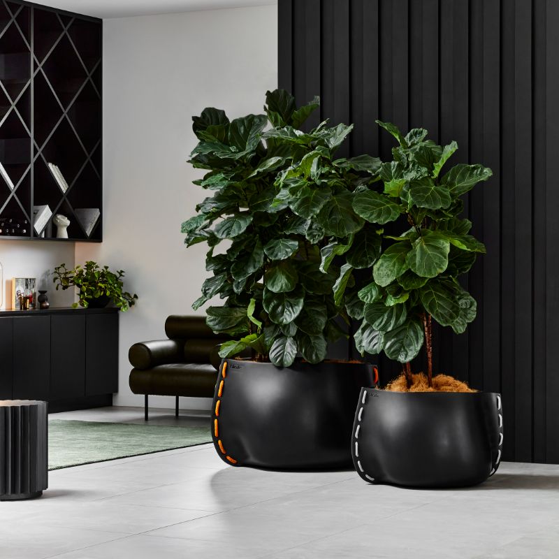 Stitch 100 Designer Pot Plant in Living Room