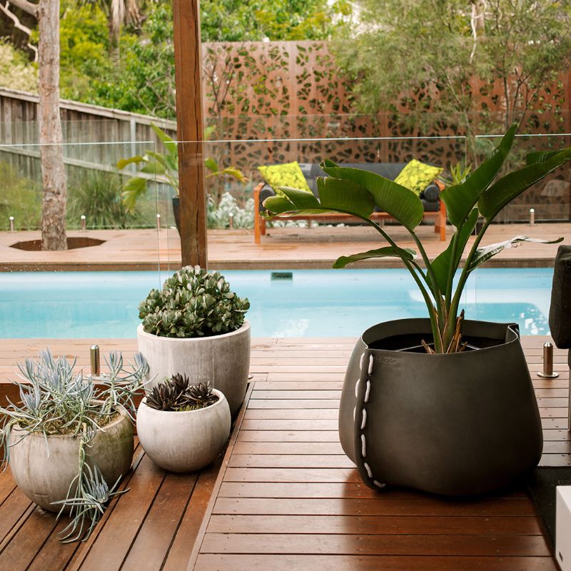 Stitch 100 Designer Pot Plant Outdoor Space