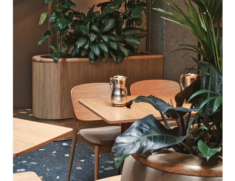 Valencia Dining Chair