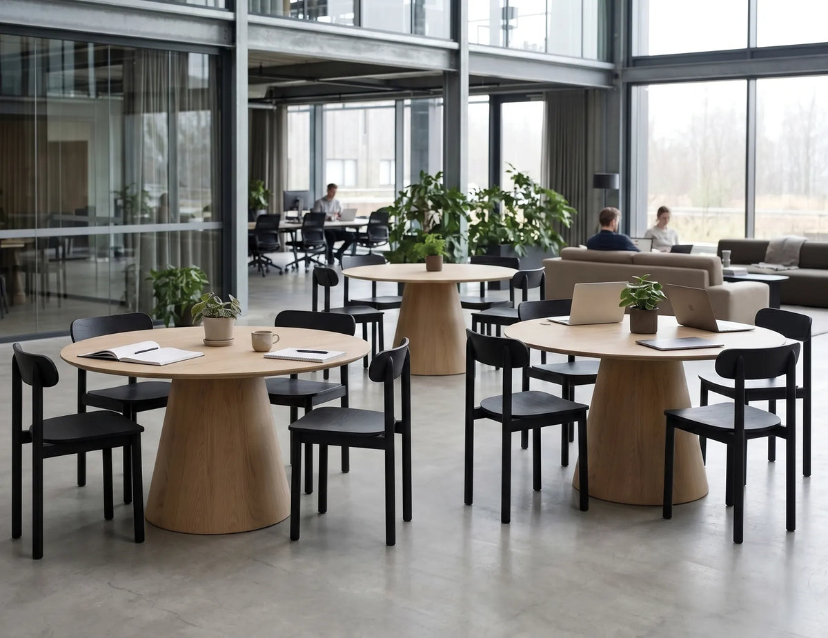 Zara Dining Chair